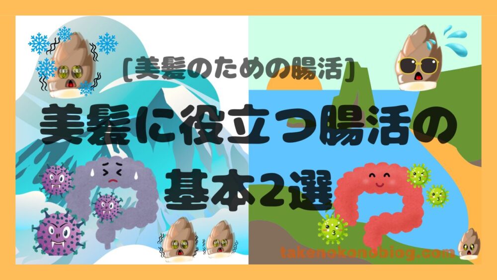 美髪に役立つ腸活の基本を紹介するミニ記事のアイキャッチ画像