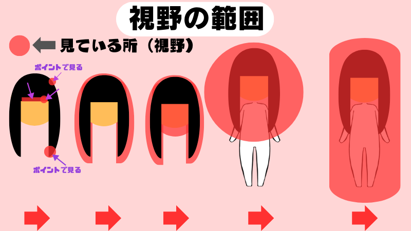 髪型を決めるバランスの視点と視野範囲のイメージ