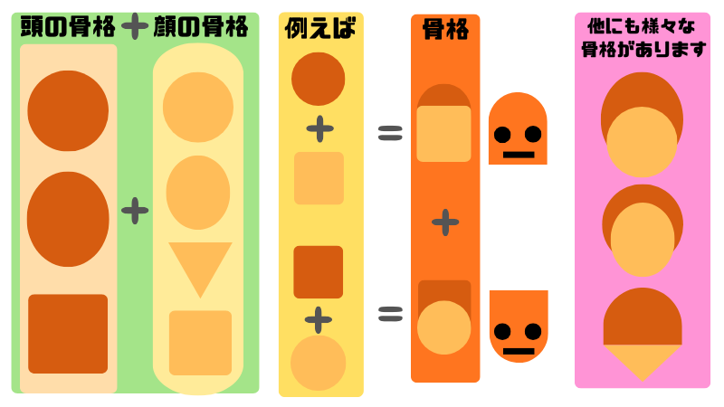 頭と顔の骨格のタイプのイメージ