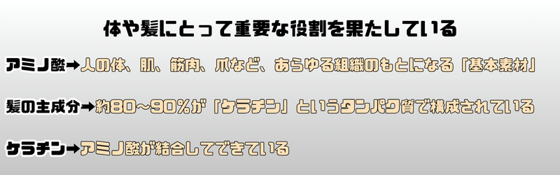 アミノ酸の髪の役割