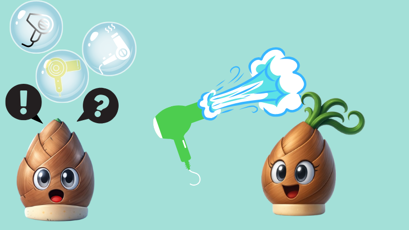 様々なドヤイヤーのイメージ